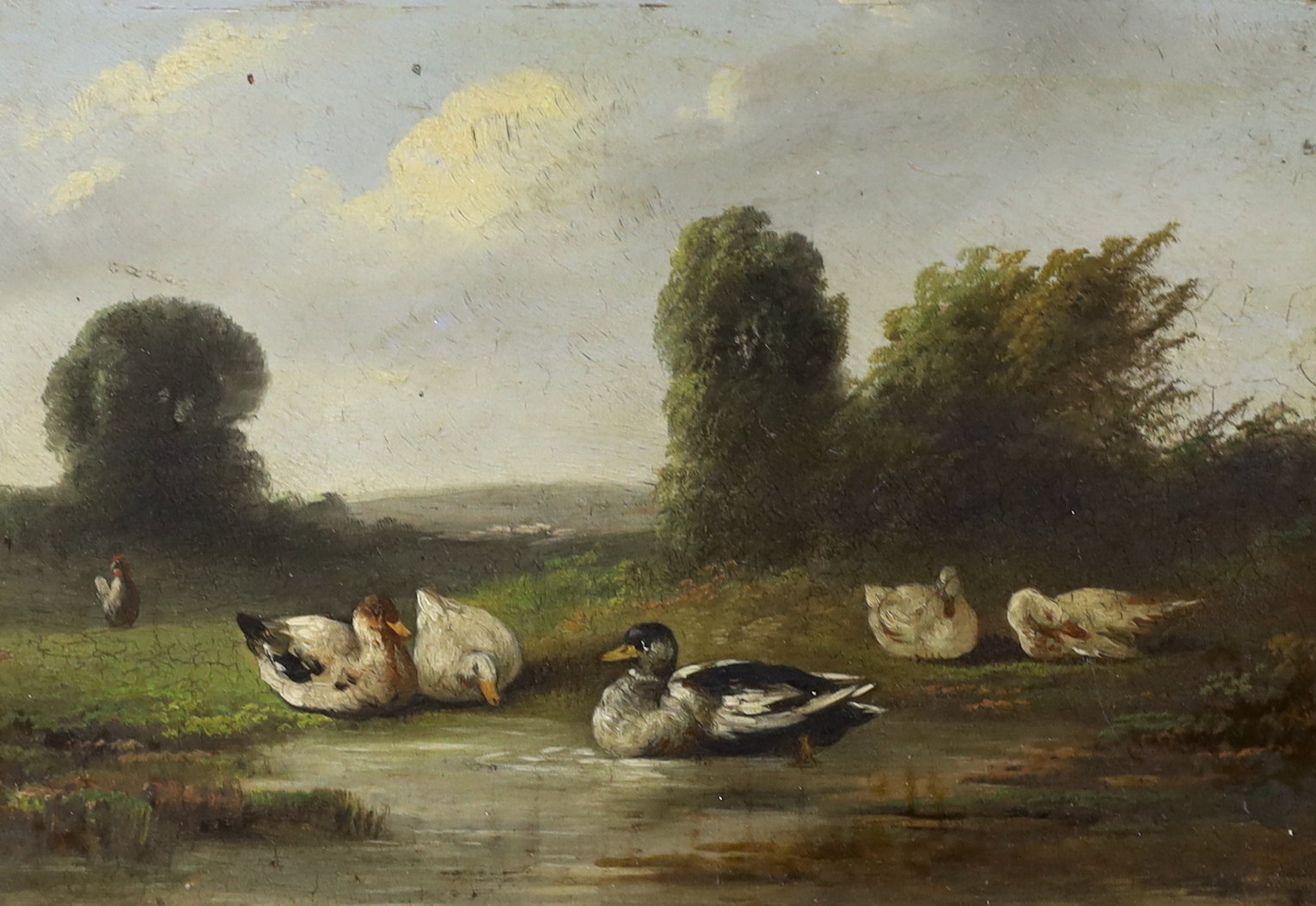 19th century English School, pair of oils on board, Fowl and ducks, label verso, 16 x 23cm